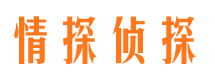 红山市侦探公司